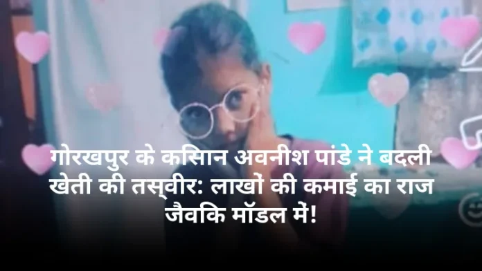 गोरखपुर के किसान अवनीश पांडे ने बदली खेती की तस्वीर: लाखों की कमाई का राज जैविक मॉडल में!