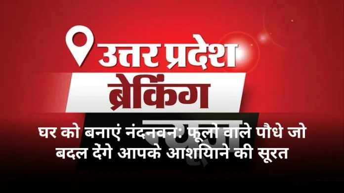 घर को बनाएं नंदनवन: फूलों वाले पौधे जो बदल देंगे आपके आशियाने की सूरत