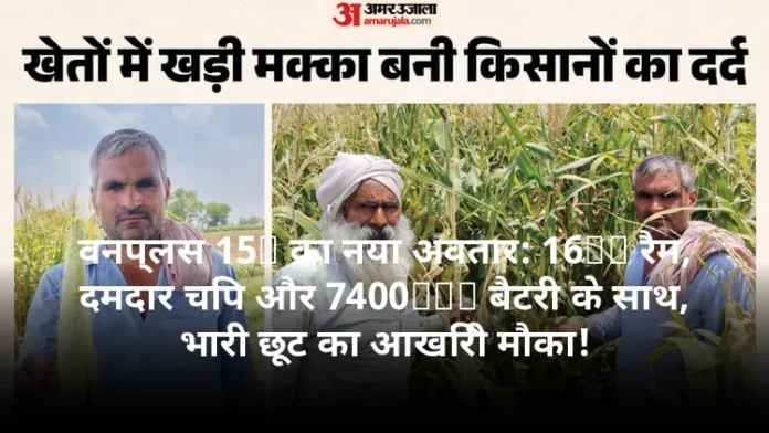 वनप्लस 15R का नया अवतार: 16GB रैम, दमदार चिप और 7400mAh बैटरी के साथ, भारी छूट का आखिरी मौका!