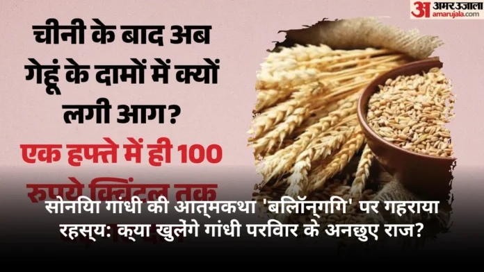 सोनिया गांधी की आत्मकथा 'बिलॉन्गिंग' पर गहराया रहस्य: क्या खुलेंगे गांधी परिवार के अनछुए राज?