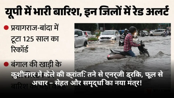 कुशीनगर में केले की क्रांति: तने से एनर्जी ड्रिंक, फूल से अचार – सेहत और समृद्धि का नया मंत्र!