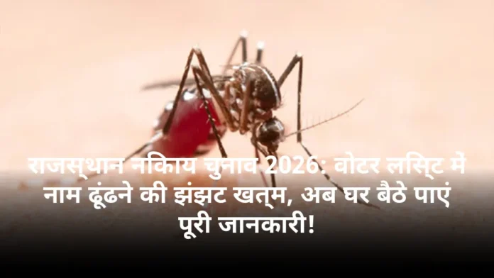 राजस्थान निकाय चुनाव 2026: वोटर लिस्ट में नाम ढूंढने की झंझट खत्म, अब घर बैठे पाएं पूरी जानकारी!