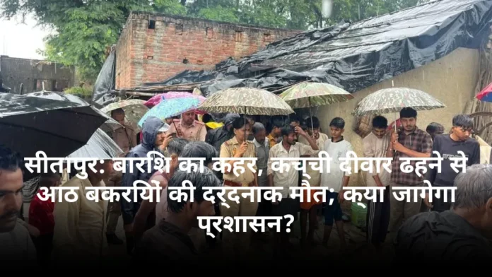 सीतापुर: बारिश का कहर, कच्ची दीवार ढहने से आठ बकरियों की दर्दनाक मौत; क्या जागेगा प्रशासन?