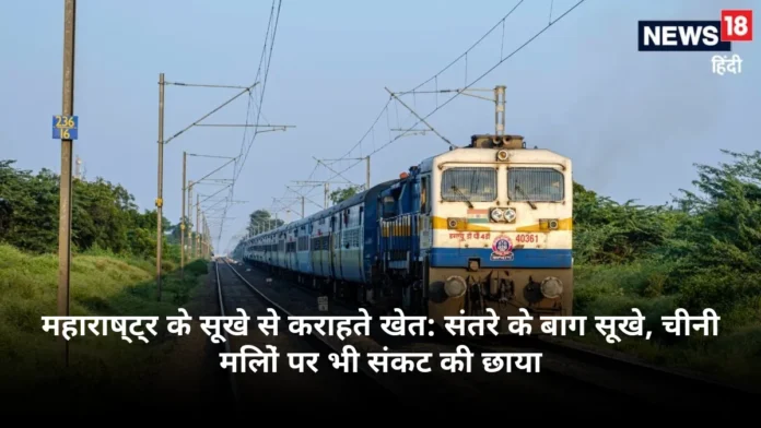 महाराष्ट्र के सूखे से कराहते खेत: संतरे के बाग सूखे, चीनी मिलों पर भी संकट की छाया